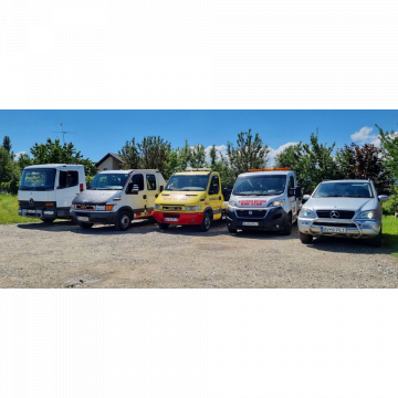 Lavinia & Petrica Trans Srl