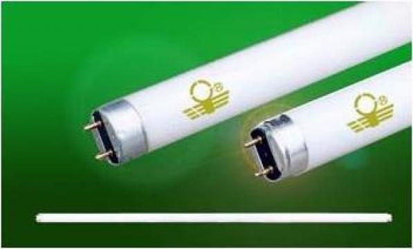Tub fluorescent pentru lampa Fluorescent Lamp Tube de la Shengzhou Lighting Product Co., Ltd.