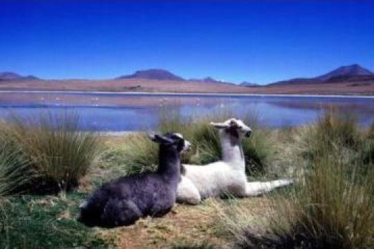 Excursie Bolivia de la Eturia Srl