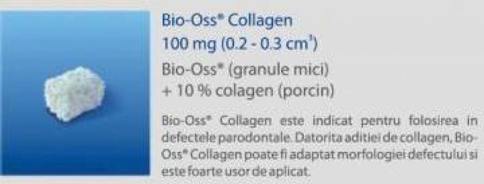 Os natural mineral spongios, Bio-oss Colagen