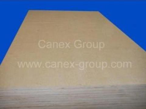 Placaje de mesteacan de la Canex Group