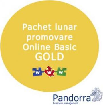 Promovare Online Basic Gold de la Pandorra Business Management Srl