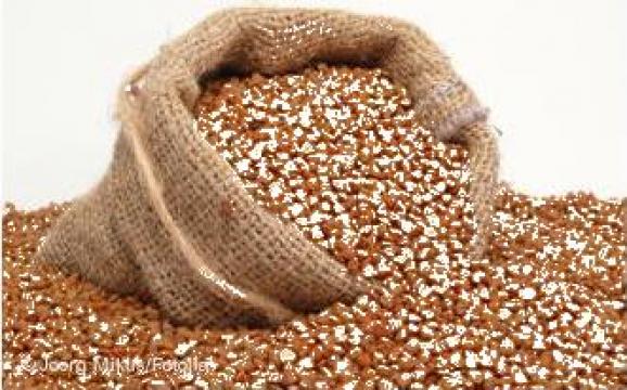 Hrisca Buckwheat (in bags of 25, 50 kg)