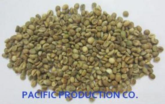 Cafea boabe Vietnam Coffee Bean de la Pacific Production Company