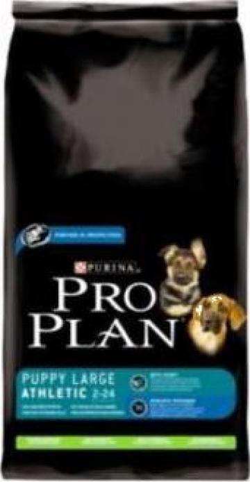 Hrana caini Pro Plan Puppy Large Breed Athletic Miel