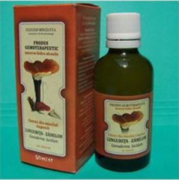 Extract ciuperci medicinale Ganoderma Lucidum