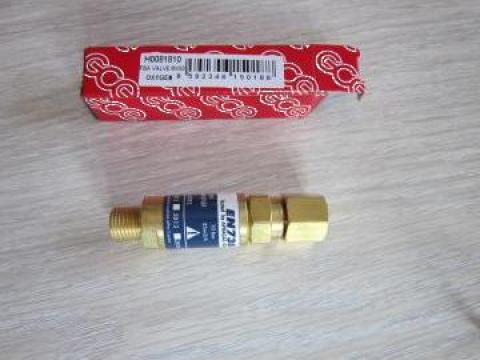 Dispozitiv antiflacara pentru maner si reductoare (oxigen) de la Baza Tehnica Alfa Srl