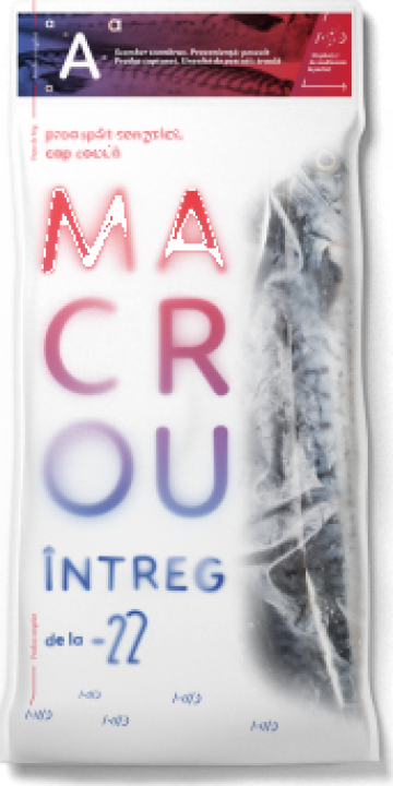 Macrou intreg congelat de la Minus 22 Premium Food Srl