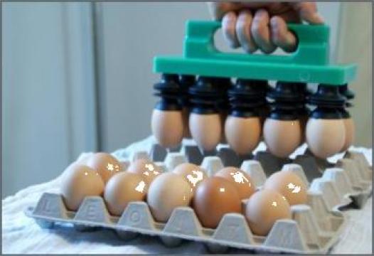 Dispozitiv pentru ambalat oua in caserola de la Albert Distribution & Logistics
