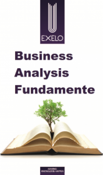 Curs Business Analysis Fundamente