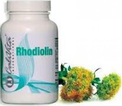 Supliment alimentar antistres Rhodiolin