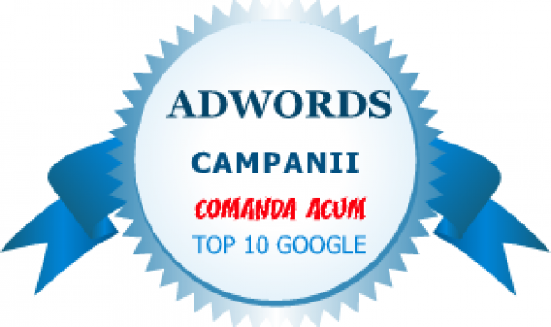 Administrare si optimizare campanie Google Ads de la Alexamedia Solutions