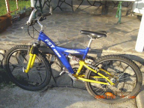 Bicicleta FST 1900 de la 