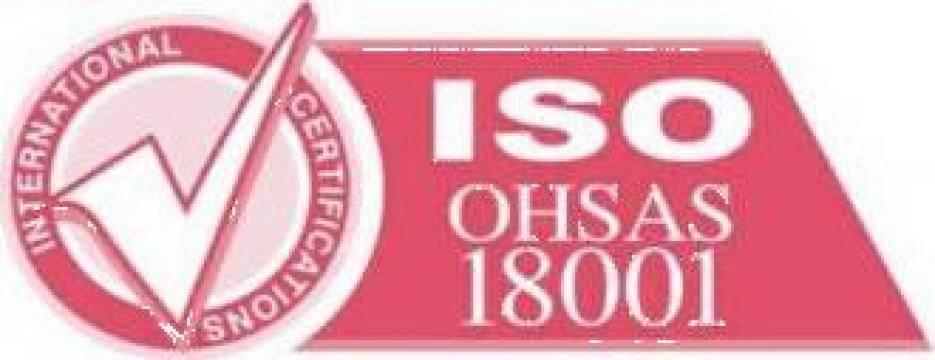 Certificat ISO OHSAS 18001 de la ESQ Cert - Organism De Certificare Iso