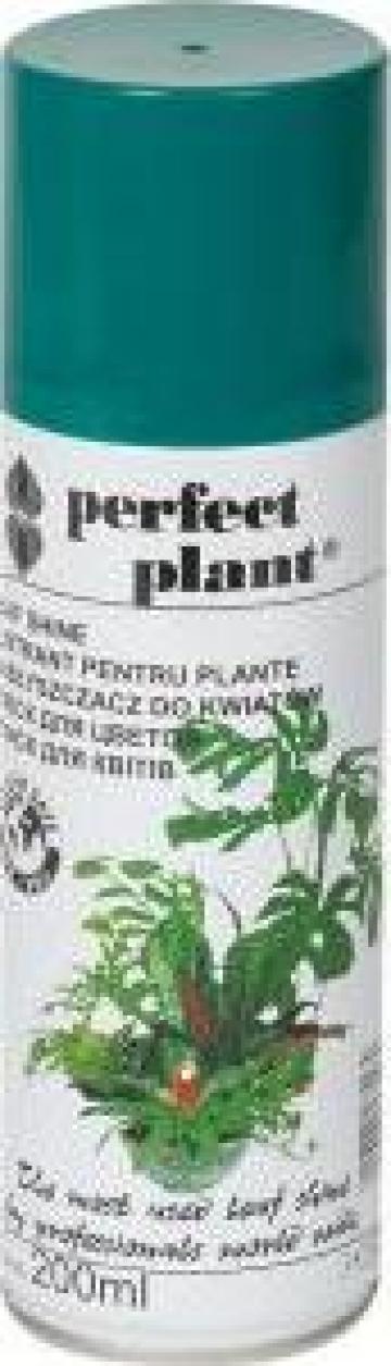 Spray lustrant pentru plante Perfect Plant 600ml de la Agan Trust Srl