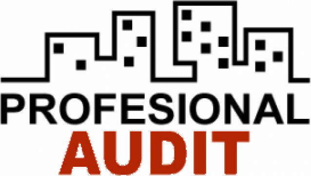 Audit financiar de la Profesional Audit