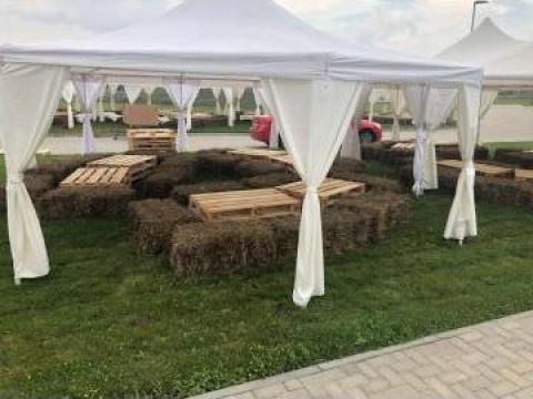 Reciclare deseuri lemn de la Sofia Prodcom