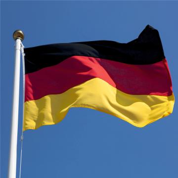 Steag Germania de la Color Tuning Srl