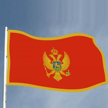 Steag Muntenegru de la Color Tuning Srl