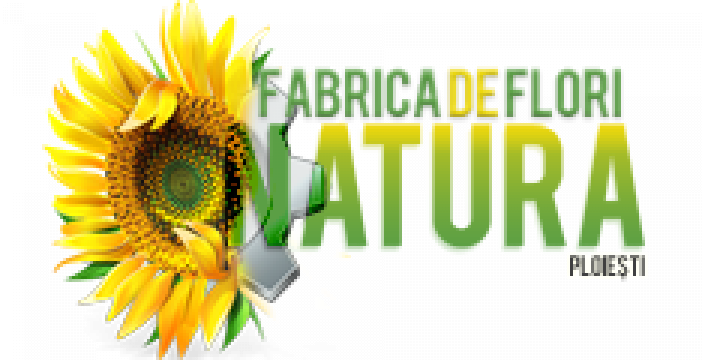 Servicii de intretinere gazon de la Sc Fabrica De Flori Natura Srl