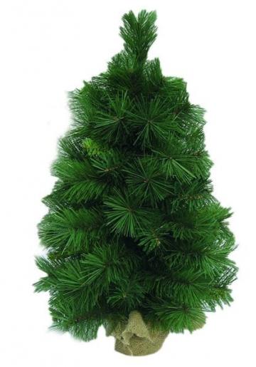 Brad artificial Mini Pine de la Elcora Piscine Srl