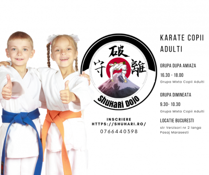 Cursuri karate copii