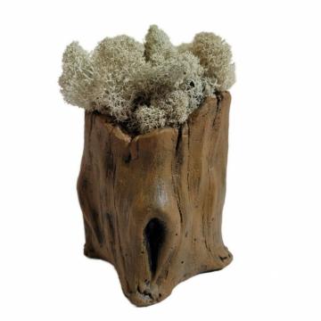 Aranjament licheni ghiveci decorativ alb M8 de la Decor Creativ
