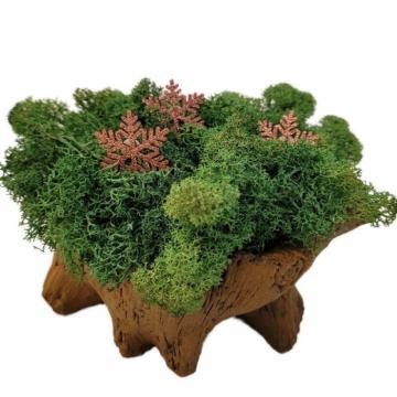 Aranjament licheni ghiveci decorativ verde pompon M3 de la Decor Creativ