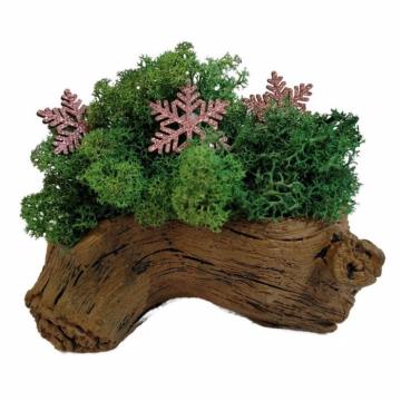 Aranjament licheni ghiveci decorativ verde pompon M4 de la Decor Creativ