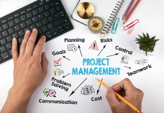 Servicii de project management
