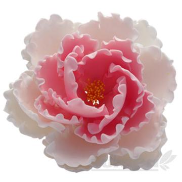 Bujor alb cu roz mare din pasta de zahar