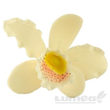Orhideea cattleya XL crem din pasta de zahar