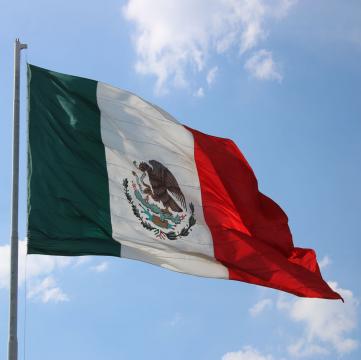 Steag Mexic de la Color Tuning Srl
