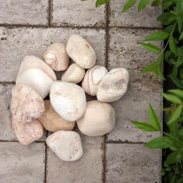 Piatra decorativa Pebbles Sandstone Politiko 3-6 cm kg de la Piatraonline Romania
