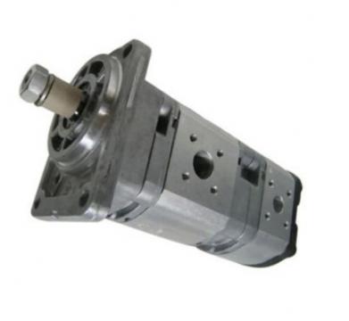 Pompa hidraulica dubla Bosch Rexroth 0510555301 de la SC MHP-Store SRL
