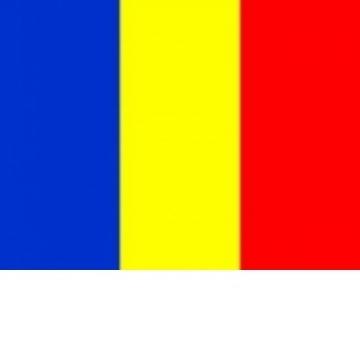 Steag Romania 90*135 cm