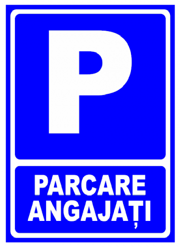 Indicator parcare angajati de la Prevenirea Pentru Siguranta Ta G.i. Srl