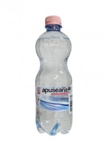 Apa de izvor plata Apuseana 0,5l SGR de la Supermarket Pentru Tine Srl