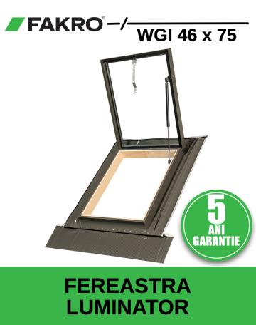 Fereastra luminator Fakro WGI 46x75