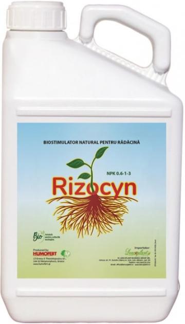 Biostimulator natural de inradacinare Rizocyn de la Lencoplant Business Group SRL