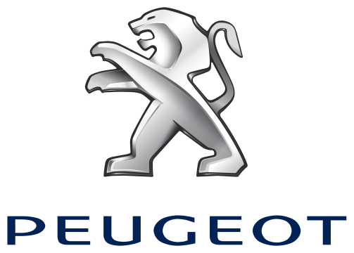 Vopsea auto Peugeot preparata la culoarea masinii de la Torci Auto Aliment Srl