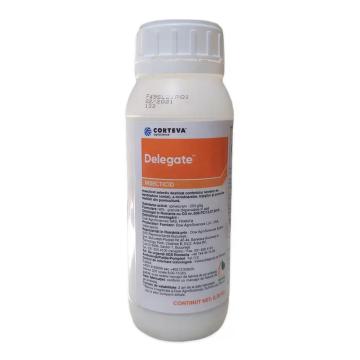 Insecticid Delegate, 250 g, Corteva de la Dasola Online Srl