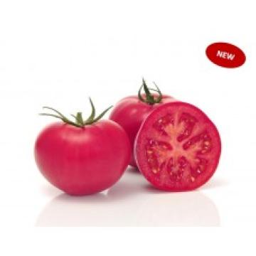 Seminte tomate roz Pink Wand F1, 500 seminte, Sakata de la Dasola Online Srl