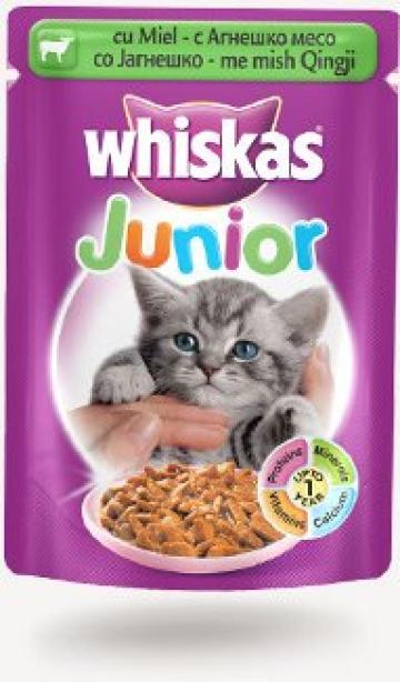 Hrana umeda pisici Whiskas plic 100g Junior