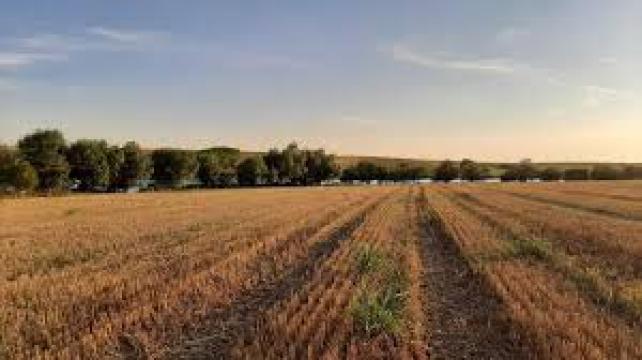 Teren agricol in comuna Goiesti din judetul Dolj, 10 hectare