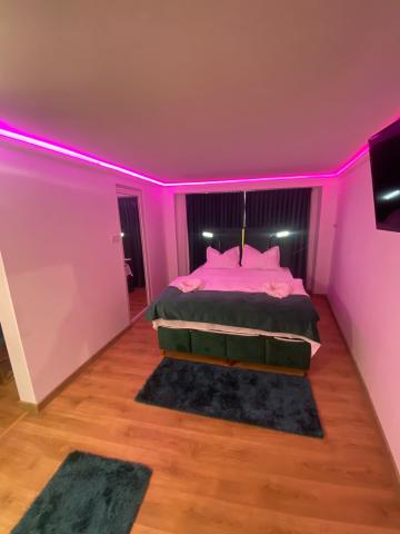 Cazare regim hotelier de la Pantis Real Estate