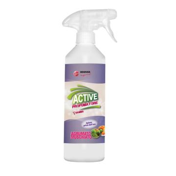 Odorizant superconcentrat Hoover Professional mosc citrice de la Xtra Time Srl