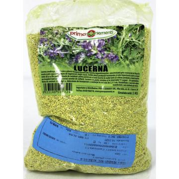 Seminte lucerna Prima Sementi 1 kg de la Loredo Srl