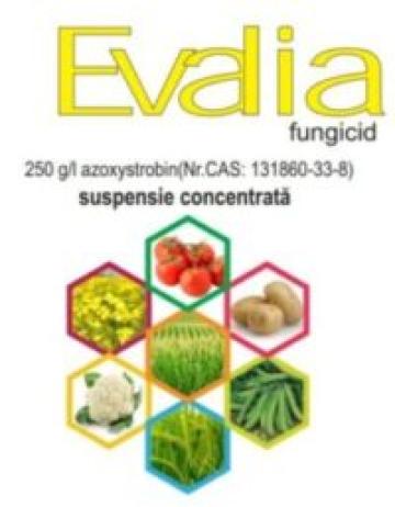 Fungicid  Evalia 10ml