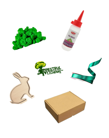 Kit creativ Iepuras cu licheni - Maestrul Lichenas